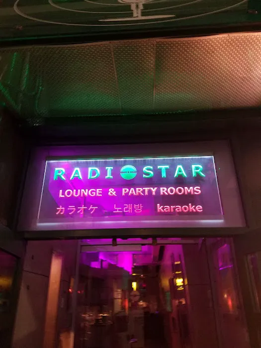 Radio Star Karaoke Picture 5