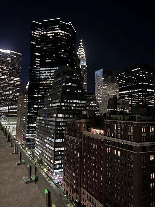 roof at 66 Park Picture 1