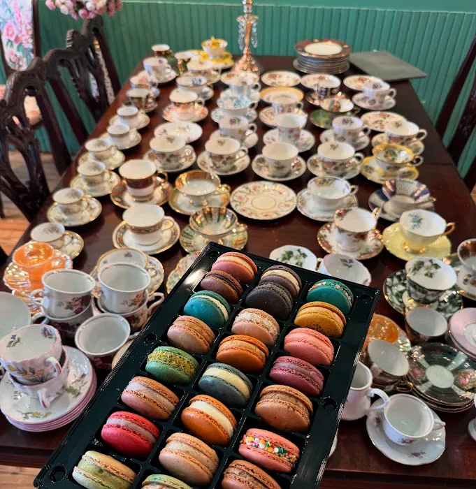 La belle tasse Picture 7