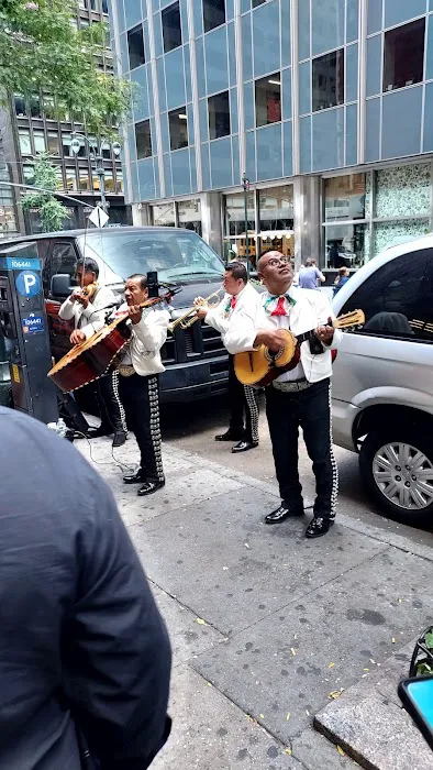 Cinco de Mayo Picture 8