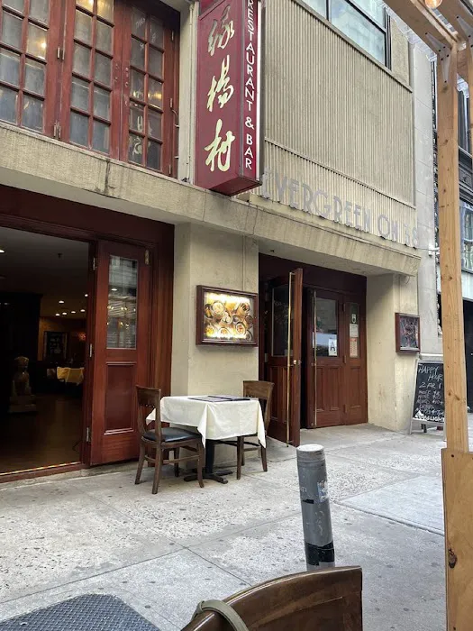 Evergreen-绿杨村:曼哈顿 中餐 馆 川菜 港式点心 上海菜 生煎包 汤包 中国餐馆 推荐 best;restaurants;chinese food;dim sum;Sichuan/Shanghai food;soup;dumpling Picture 9