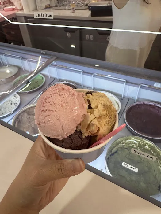 Le Mer Ice Cream Picture 7