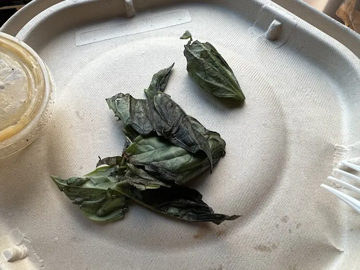 sweetgreen Picture 6