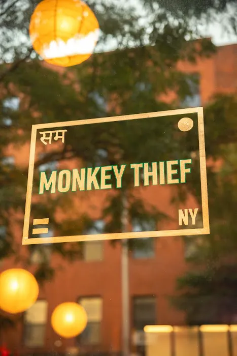 Monkey Thief Picture 6