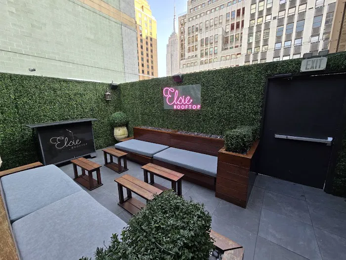 Elsie Rooftop & Penthouse Picture 9