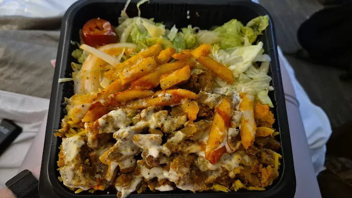 Tamer Halal Food Truck Picture 3