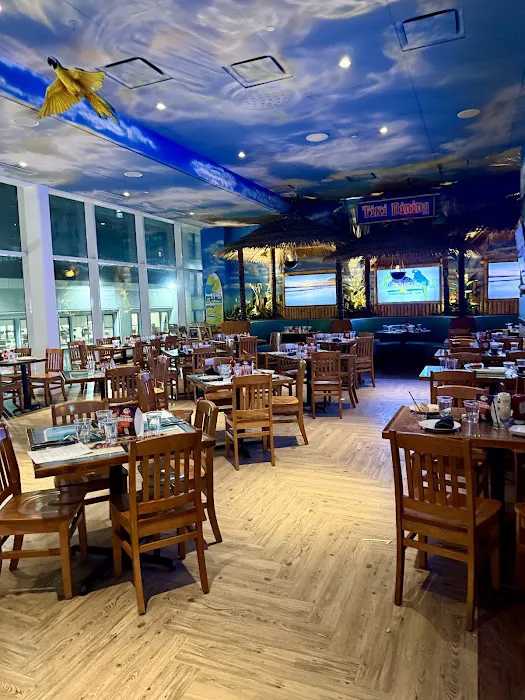 Margaritaville Restaurant - Times Square Picture 6