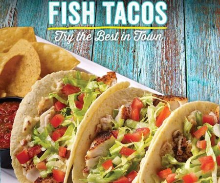 LandShark Bar & Grill - Times Square