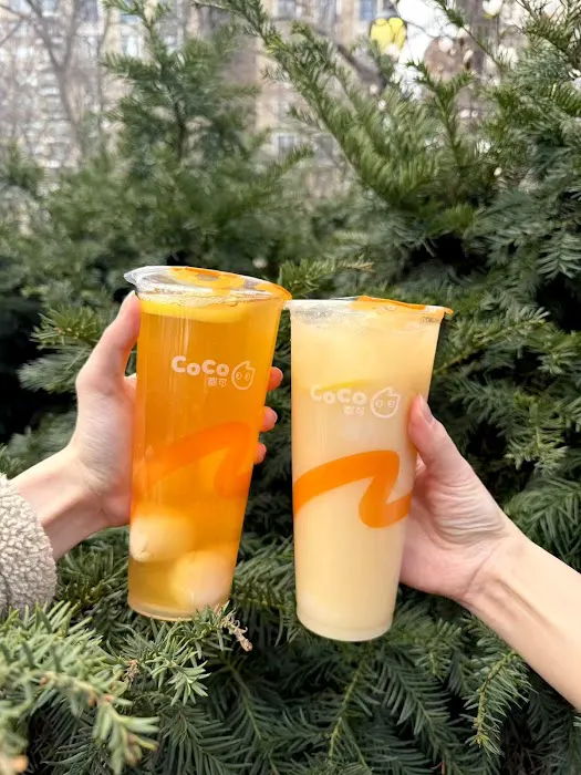 CoCo Bubble Tea Picture 7