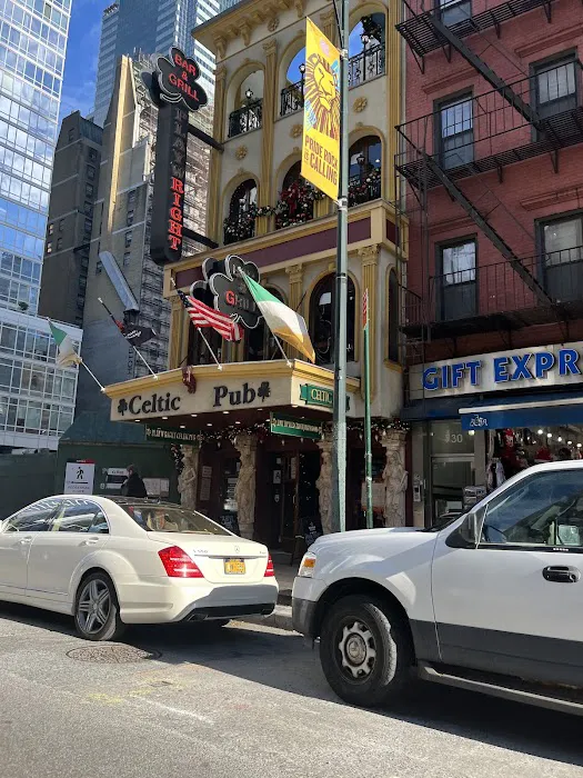 Playwright Celtic Pub Picture 1