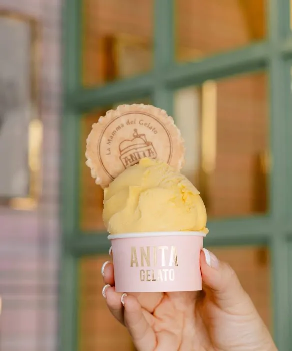 Anita La Mamma del Gelato Picture 7