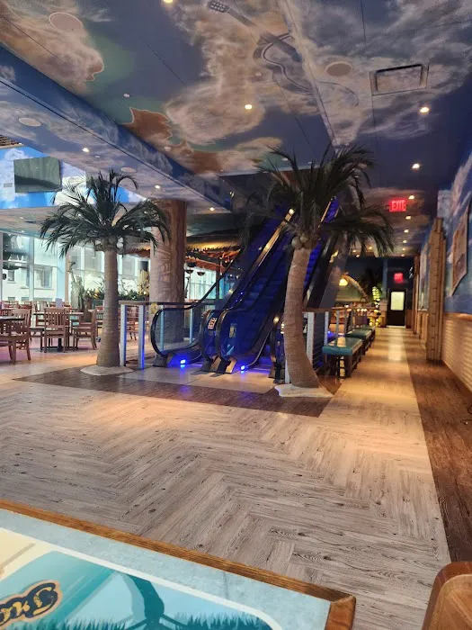 Jimmy Buffet Margaritaville Restaurant Picture 3