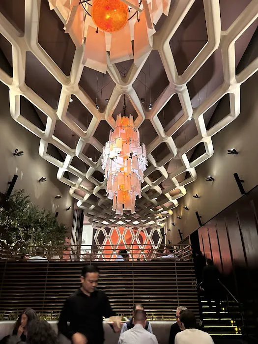 Koi New York Picture 8