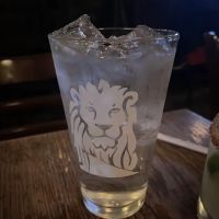 The Waylon ico