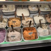 Hudson Bagel ico