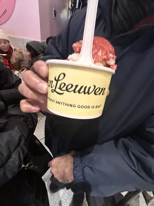 Van Leeuwen Ice Cream Picture 7