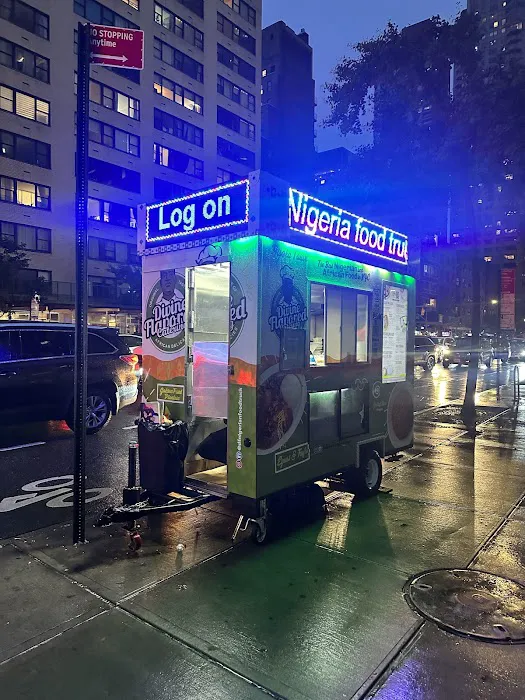 DF Nigerian Food Truck Picture 10