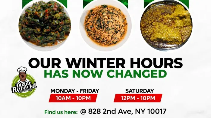 DF Nigerian Food Truck Picture 4