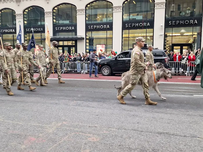 Start St.Patrick's Day Parade Picture 7