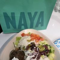 NAYA ico