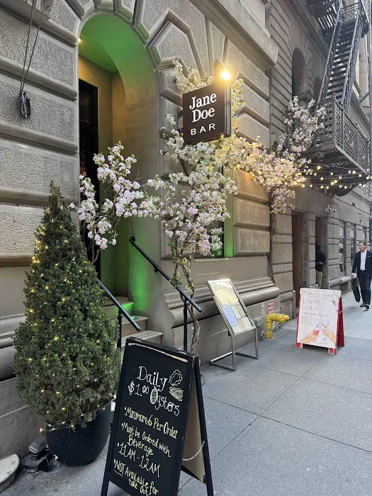 Jane Doe Bar & Restaurant Picture 2