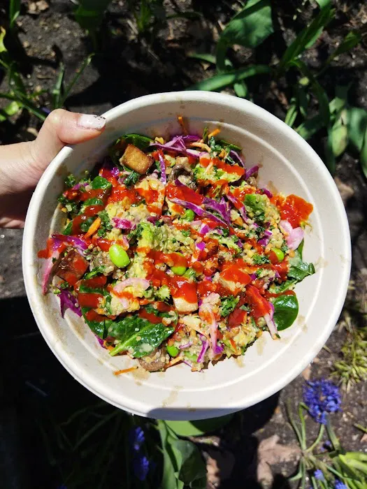 Just Salad Picture 7