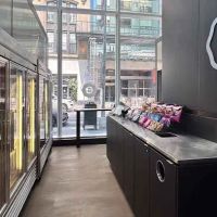 Earthbar Express ico