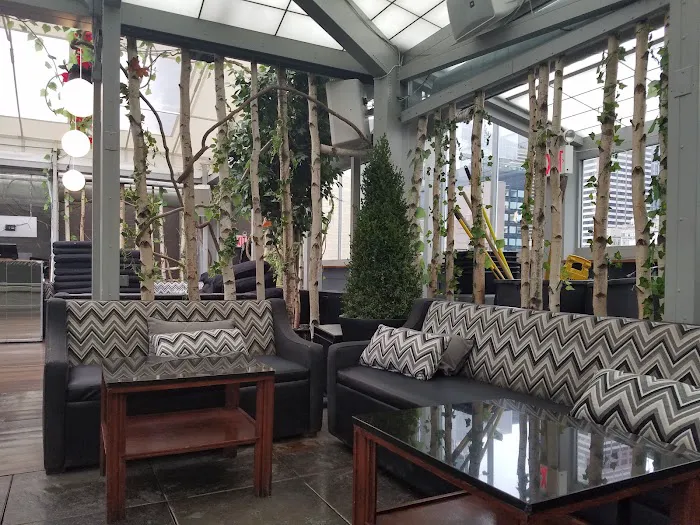 The Attic Rooftop & Lounge Picture 1