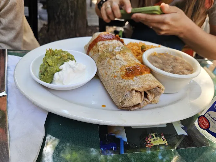 Mamasita Bar & Grill Picture 3