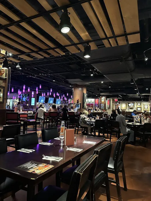 Hard Rock Cafe Picture 8