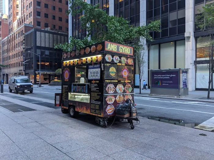 Halal Cart Picture 8