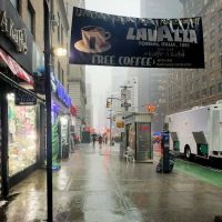 Halal Cart ico