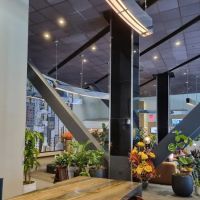 msocial Rooftop ico