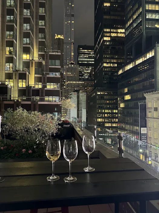 msocial Rooftop Picture 5