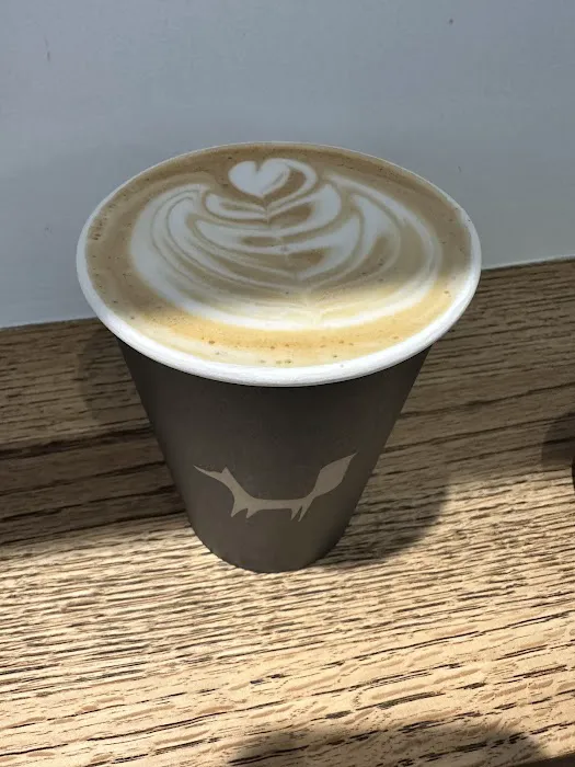Black Fox Coffee Picture 5
