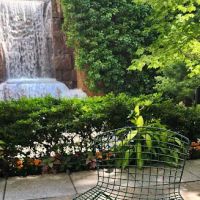 Carol's Cafe ico