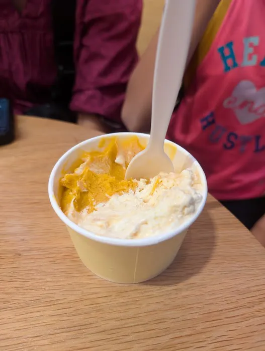Van Leeuwen Ice Cream Picture 5