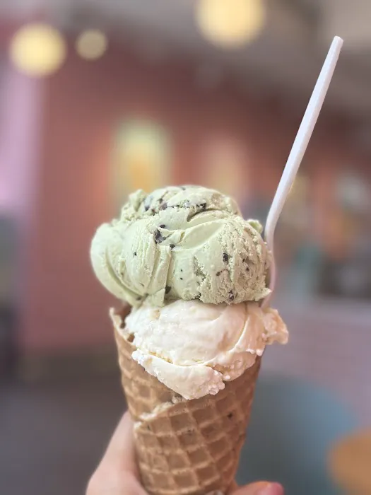 Van Leeuwen Ice Cream Picture 6