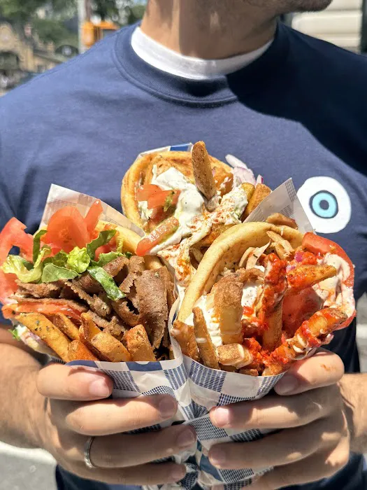 The Gyro Project Picture 8