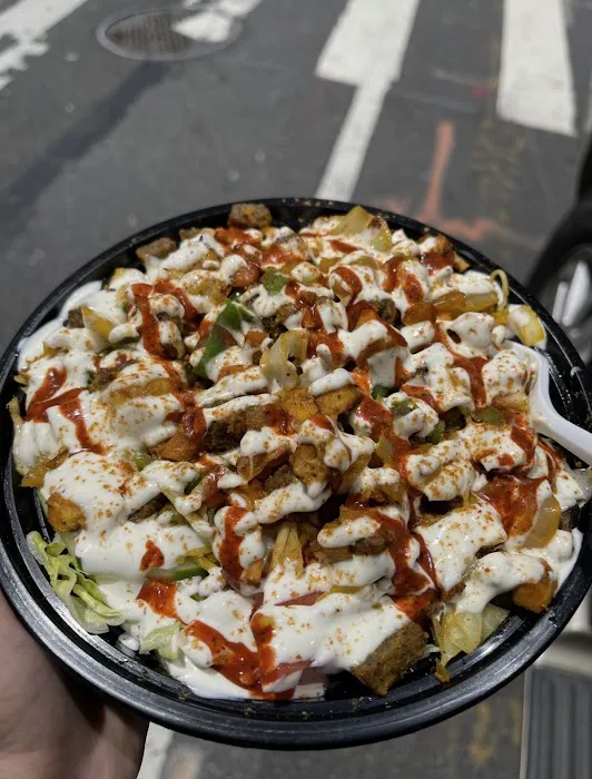Indian Tasty Halal Food Picture 2