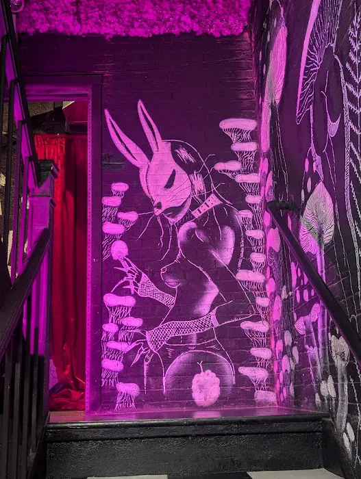 Rabbit Hole TSQ Picture 3