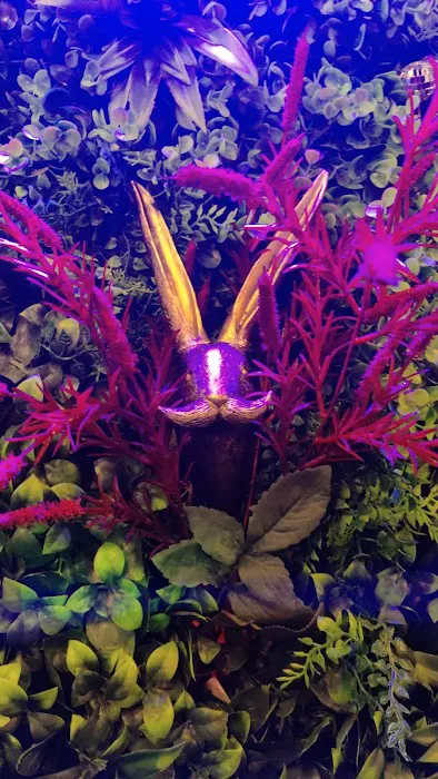Rabbit Hole TSQ Picture 2
