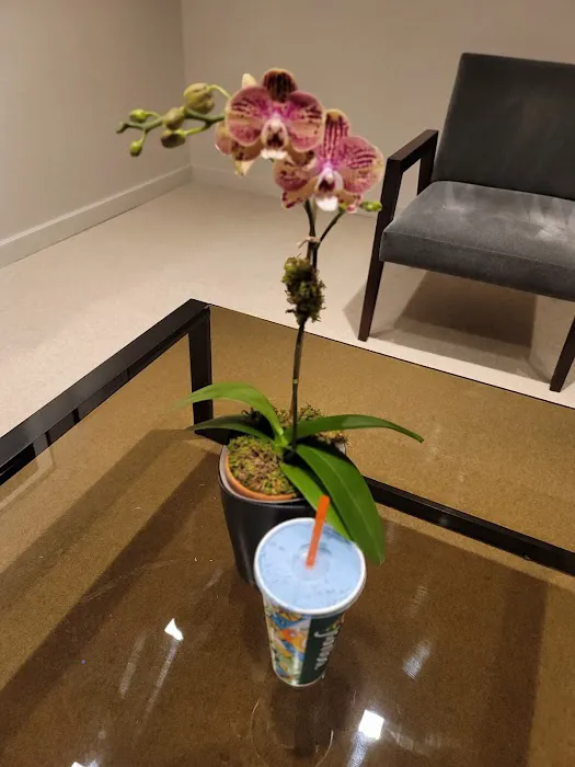 Jamba Picture 7