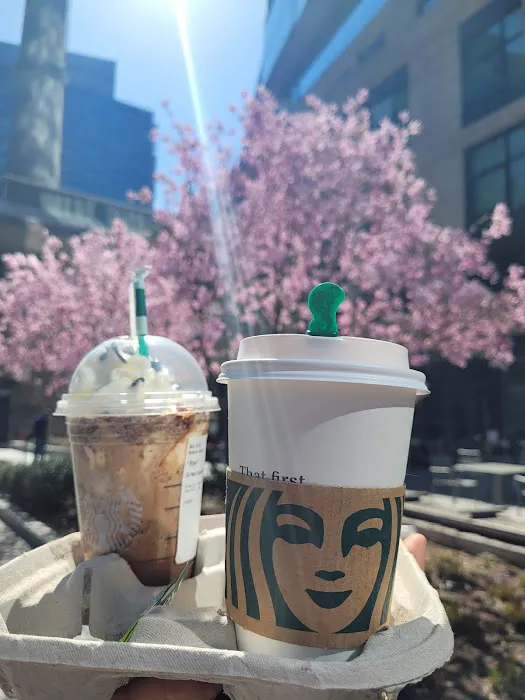 Starbucks Picture 4