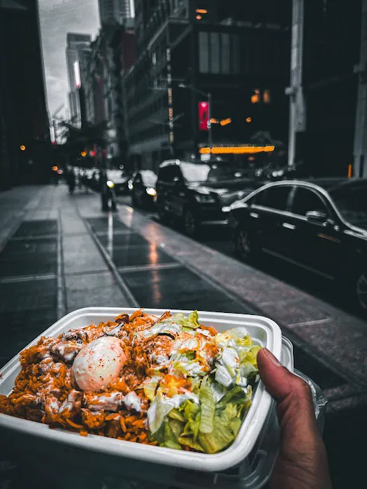 Biryani Cart Picture 1