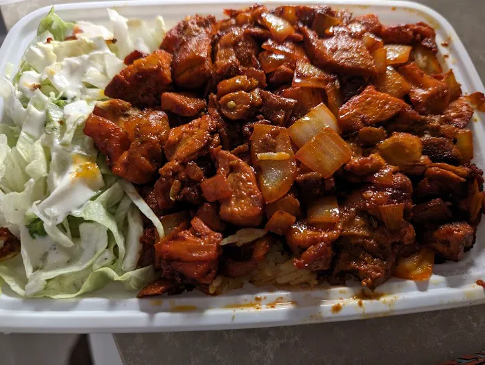 Biryani Cart Picture 7
