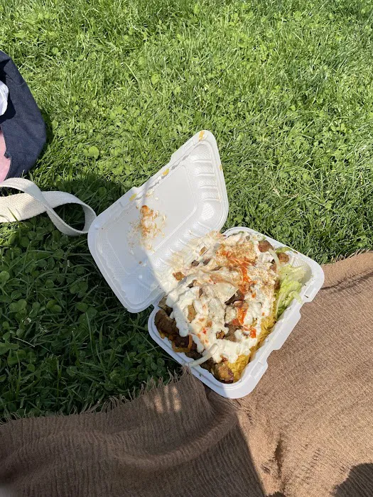 Royal Biryani Pakistani Halal Food Picture 2