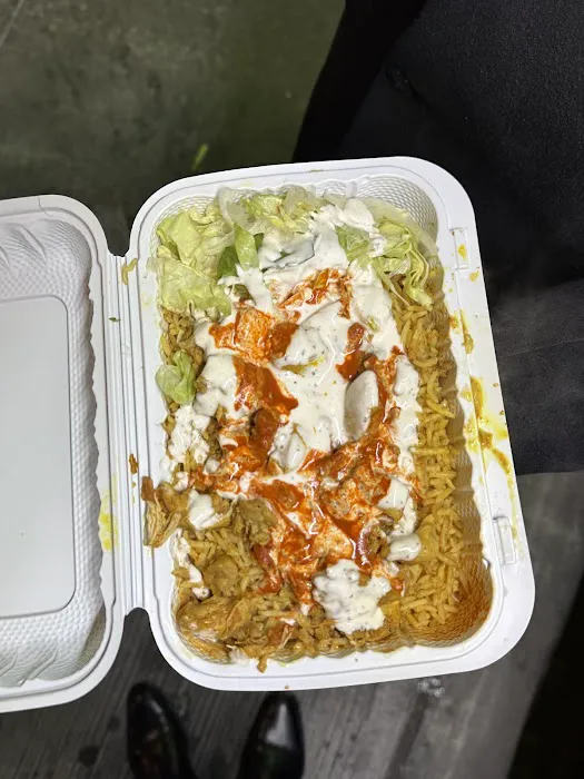 Royal Biryani Pakistani Halal Food Picture 7