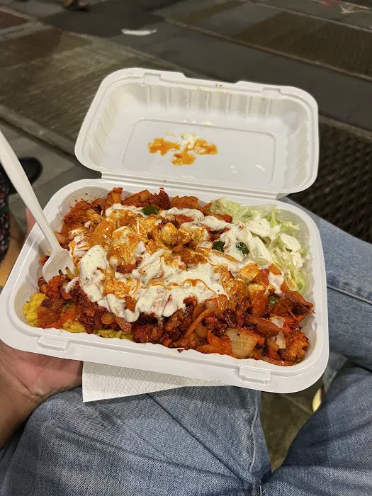 Royal Biryani Pakistani Halal Food Picture 4