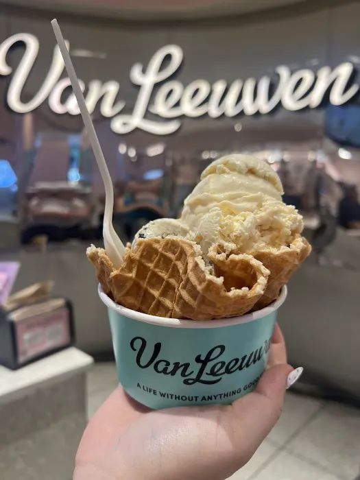 Van Leeuwen Ice Cream Picture 8
